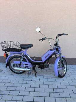 Babetta - 6