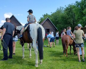 připouštění kvalitnimi plemeníky PAINT HORSE-HOMOZYGOT - 6
