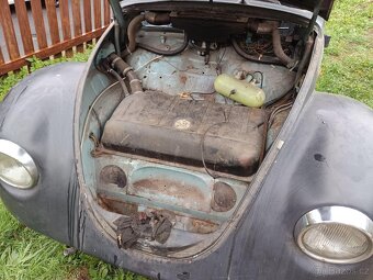 VW Brouk - 6