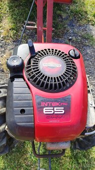 Vari Tera, Briggs & Stratton Motor Intek Pro 65 - 6