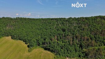 Prodej pozemek Lesy, 3149㎡ - 6