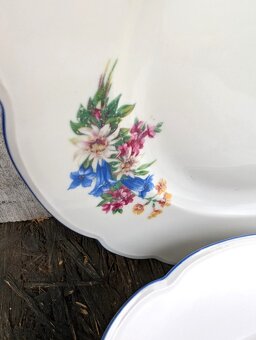 2ks vintage talíře, Alpeflora, zn.Altrohlau MZ. - 6