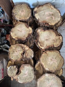 Akátové / jasanové Koláče , příčné rezy - 6