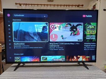 43"109cm, Smart TV,  Wi-Fi, DVB-T2 - 6