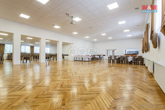 Pronájem komerčního objektu, 635 m², Vřesina - 6
