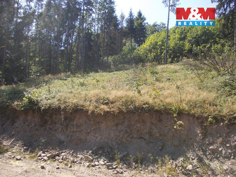 Prodej stavebního pozemku, 3955 m², Pstruží - 6