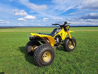 Yamaha tri-z 250 triz trimoto 125 atc klf honda - 6