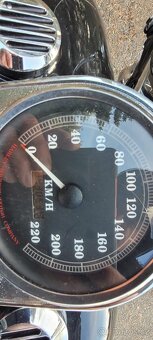 Harley Davidson, Softeil Heritage - 6