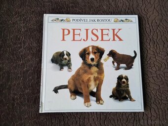 Knihy různé cca 600 ks - 6