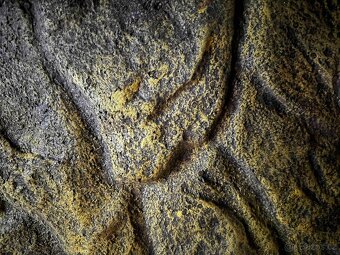 Terárium 90×45×45 s vybavením - 6