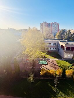 Prodej bytu 1+1 Svisle, Přerov - 6