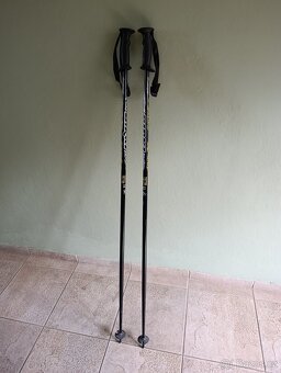 Lyže Blizzard, hůlky Birky - 6