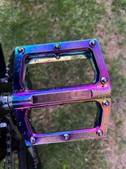 Tek evo - 6