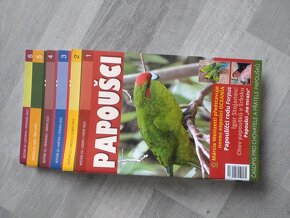 Papoušci - 6