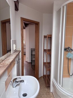 Podkrovní byt 2+1 - 6