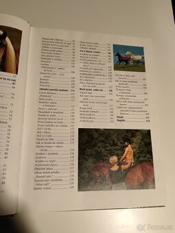 Škola jezdectví - 6