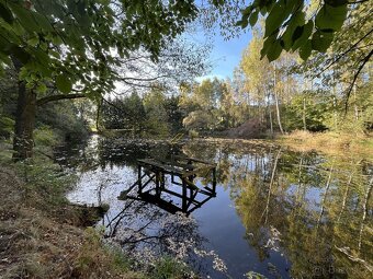 Prodej rybníku s pozemky, Klení, Benešov nad Černou - 6