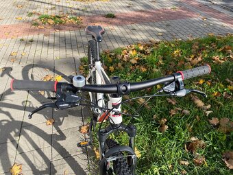 29" horské kolo Kilimanjaro alu rám L 19" - 6