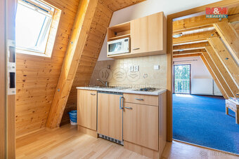 Prodej hotelu, penzionu, 1200 m², Lipno nad Vltavou - 6