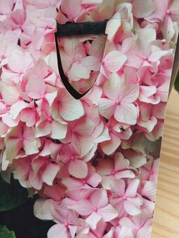 Ořechokřídlec , hortenzie a další keře - 6