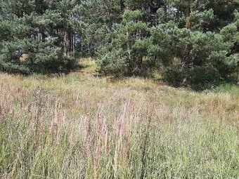 Stavební pozemek 1365m2 u přehrady Orlík - 6