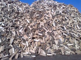 Prodej palivového dřeva skládané + sypané - 6