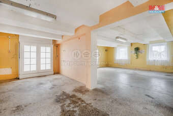 Prodej rodinného domu, 450 m², Brtníky - 6