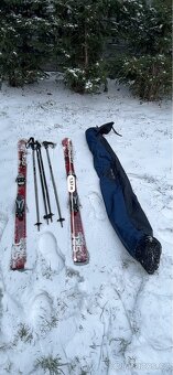 Lyze Fischer 155cm - 6