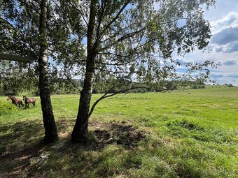 Nabízíme ustájení - 6