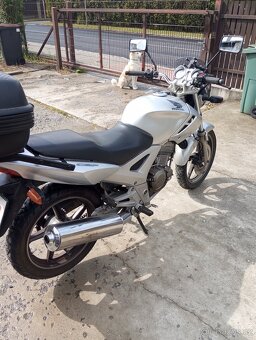 Cbf 250 - 6