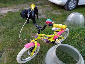 Dětské kolo Daisy 14 žlutá nebo fialová barva - 6
