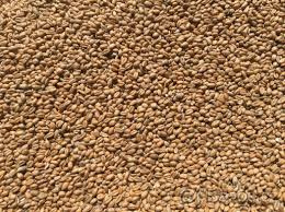 Šrot, pšenice, ječmen, kukuřice, šrot mix, krmné směsi - 6
