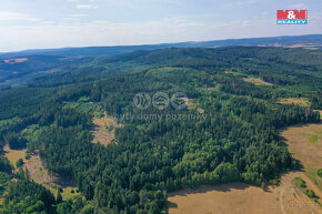 Prodej lesa, 7291 m², Dlouhý Újezd - 6