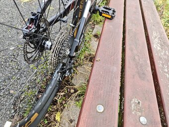 Leader Fox Acron 2023 - 6