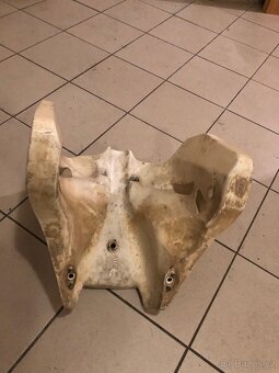 Expediční Nádrž Ktm lc4 600 - 6