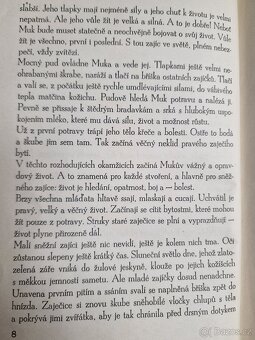 Kniha Ze života sněžného zajíce - 6