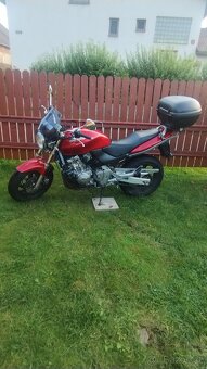 Honda Hornet 600 - 6