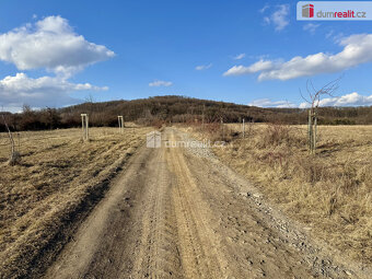 Prodej pozemků v k.ú. Jankovice o celkové výměře 21142m2 - 6