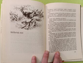 POTULNÝ LOVEC Karel Nový - 6