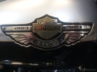 Harley-Davidson Electra Glide Ultra Classic 100th TC 88 - 6