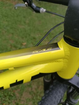 SCOTT SCALE 20 - 6
