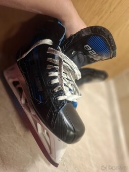Golmanske brusle Bauer GSX S24 Sr. 7,5 (42,5) - 6