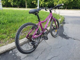 Kolo Core Nipper 20" - 6