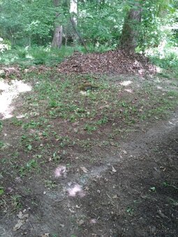 Chata na prodej Šiškovice - 6