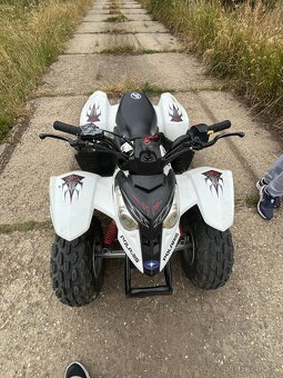 Polaris Predátor 50ccm - 6