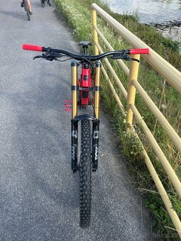 Santa Cruz V10 - 6