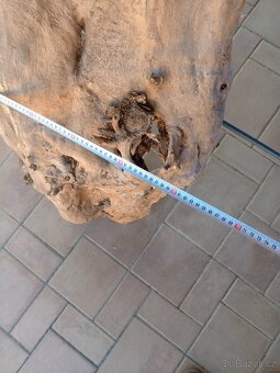 Topolové skořepiny - 6