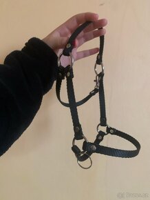 Prodej hobby horse - 6