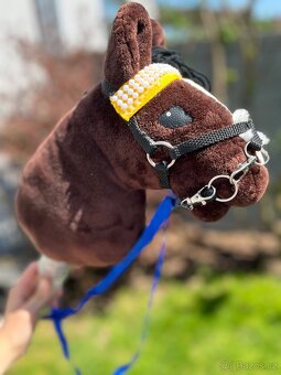 Hobby horse - 6