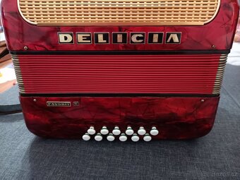 Heligonka Delicia - 6